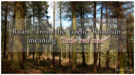Ruan - from the Gaelic for 'little red one'