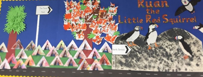 Squirrels and seabirds