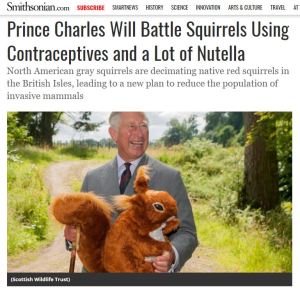 Prince Charles Will Battle Squirrels Using Contraceptives and a Lot of Nutella